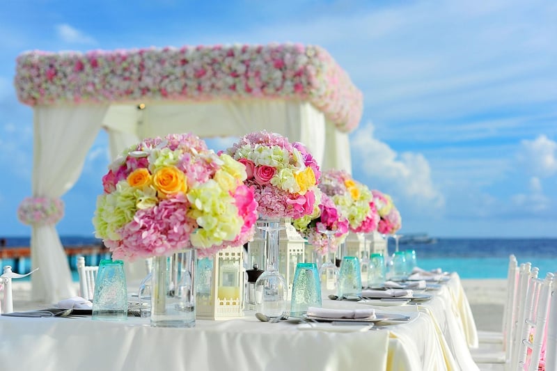 Magical Castle Receptions