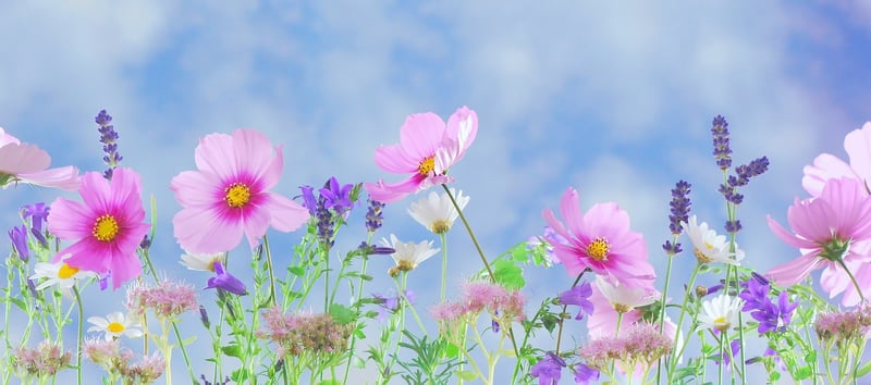 Fantasy Floral Arrangement